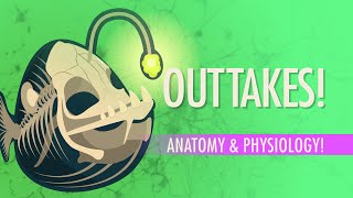 Outtakes #2: Crash Course A&P