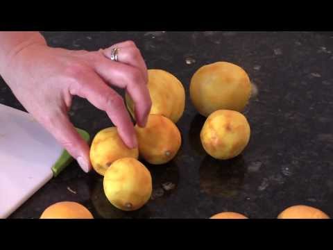 download lagu mp3 mp4 Meyer Lemon Marmalade Martha Stewart, download lagu Meyer Lemon Marmalade Martha Stewart gratis, unduh video klip Meyer Lemon Marmalade Martha Stewart