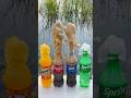 Taste Test Cola Vs Mentos Vs Pepsi Vs Mirinda Vs Sprite Experiment Shorts
