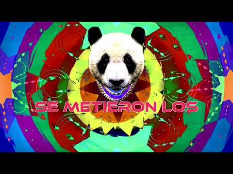 Video Se Metieron Los Pandas (Letra) de Big Yamo 