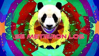 Video Se Metieron Los Pandas (Letra) de Big Yamo, Vato 18k