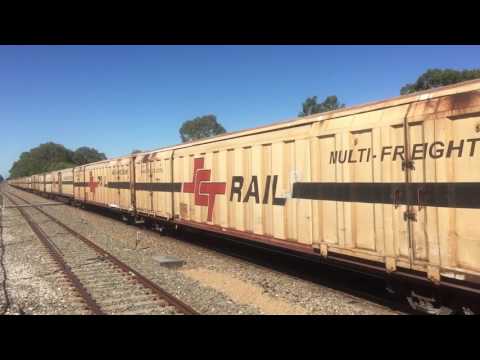 6MP9 at Chidda with an 80-class Leading!