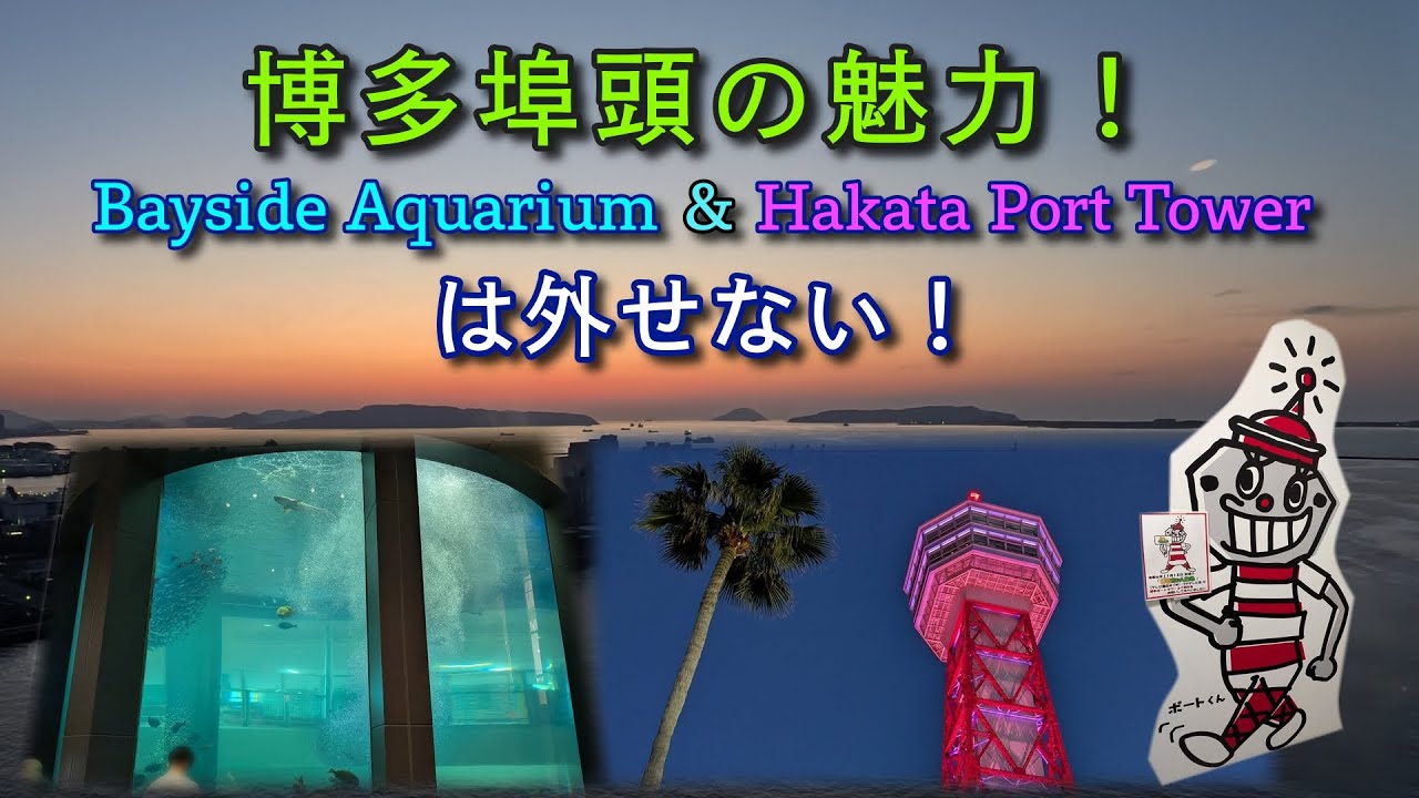 Discover the highlights of Bayside Place Hakata Aquarium.