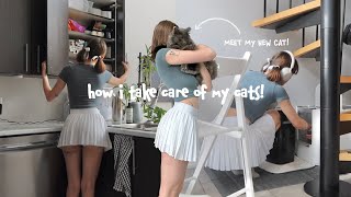 how i take care of my 3 cats!! 🐈‍⬛🧺 + meet my new cats