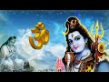 Shiv Punjabi Non Stop Bhajans Master Saleem Juke Box Full Audio