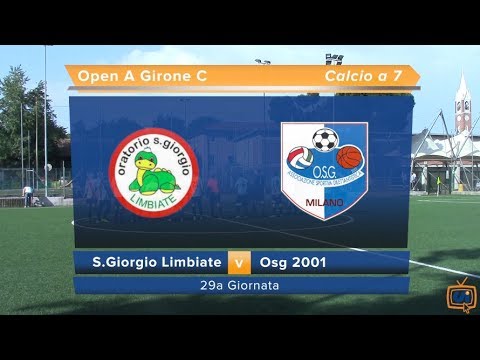 Sintesi S.Giorgio Limbiate - Osg 2001