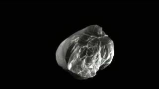 CLINIC - DISTORTIONS