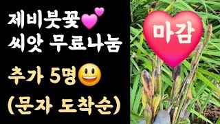 제비붓꽃???? 씨앗 무료나눔???? 문자메시지 도착순서 추가 5명