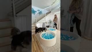 Fall reset on my dogs apartment