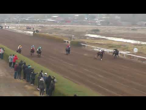 Novena carrera, "Premio Turf al día AM 600", distancia 300 metros