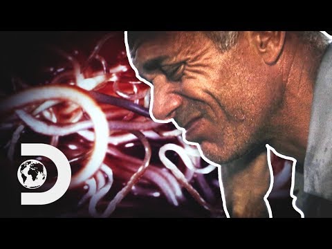 "冷酷な殺人鬼が私の中に棲みついている」｜リバーモンスターズ ("A Ruthless Killer Is Living Inside Me" | River Monsters)