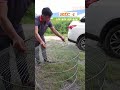 Bội VIP HÀN THAKE CẶP LỒNG GÀ CHẠY SIÊU VIP SP MỚI THAKE