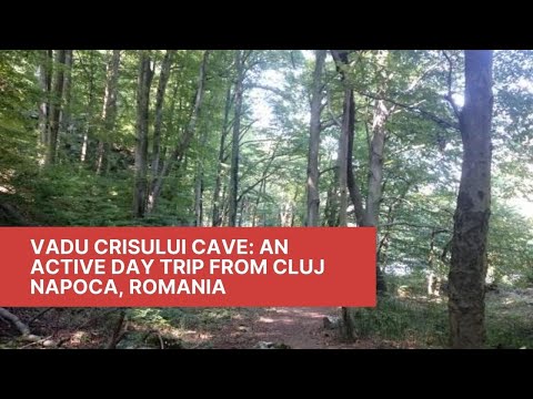Vadu Crisului Cave: An active day trip from Cluj Napoca, Romania