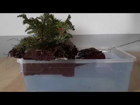 Plattentektonik einfach erklärt