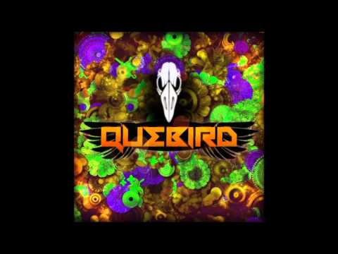 Quebird - Kronix