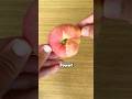 what Donut Peaches look like