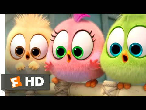 The Angry Birds Movie 2 - Wittle Sisters | Fandango Family