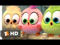 The Angry Birds Movie 2 Wittle Sisters Fandango Family