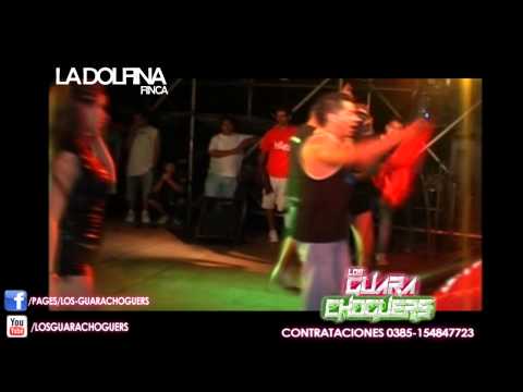LOS GUARACHOGUERS EN LA DOLFINA EN VIVO (PARTE 3)