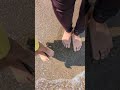 A Mother Daughter Bonding Moment Feeling The Waves On Our Feet Emotional Motherdaughter Shorts