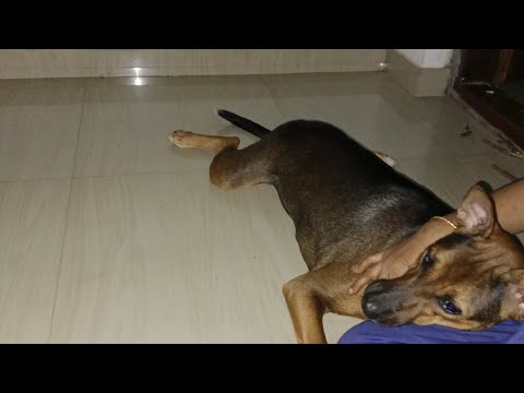 tiny cutie to  naughty big boy...☺️