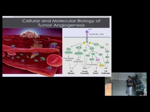 Trachette L. Jackson: Mathematical Models of Tumor Angiogenesis