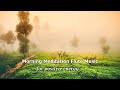 Morning Meditation Music For Positive Energy Flute Healing Flute Relax Flute Mind Body Soul 342