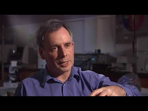 Miracle Planet 4of5 Extinction and Rebirth DivX6 AC3 www mvgroup org