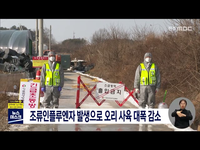 조류인플루엔자 발생으로 오리 사육 대폭 감소