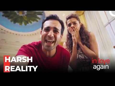 The Truth That Hits Like a Bullet - In Love Again