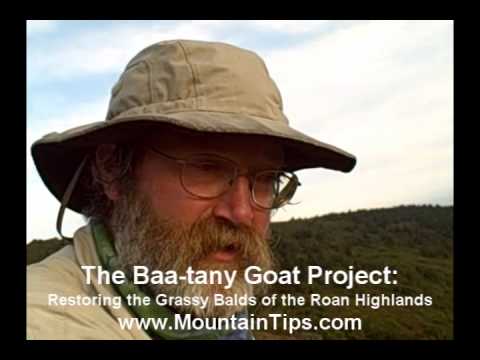 The Baa-tany Goat Project - Grays Lilly