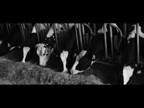 Il segreto della nostra Qualità - Andrea Garonzi