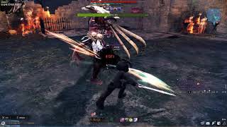 델리아 공속7 아인라허 블러드로드