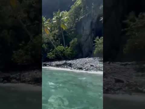 Que Bello. #subscribe #video #viral #shorts #viralvideo #hoteleria #reels #tiktok #beach #playa