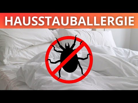 Hausstaubmilben-Allergie: Vermeide diese 7 Fehler