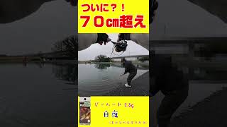 【70cm超え】アルクスポンドで怪物トラウトが釣れた…