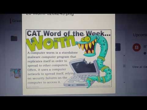 RTT GRAAD 11: 4 Mei 2020 - periode 2 (04112)