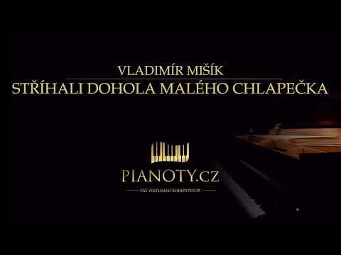 Vladimír Mišík - Stříhali dohola malého chlapečka (klavírní doprovod / karaoke)