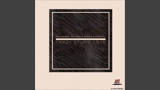 Crazy Stupid Love (Original Mix)