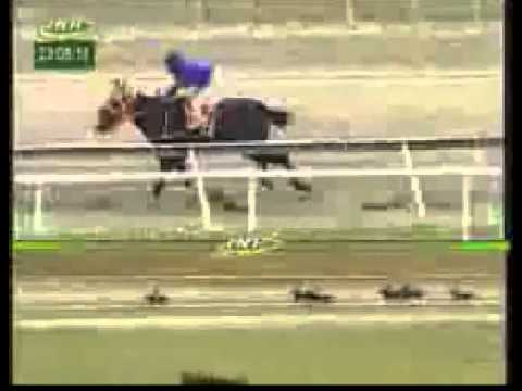 LA RINCONADA 3 CARRERA, DOMINGO 23 DE AGOSTO DEL 2015