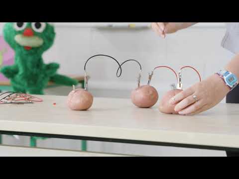 Potato Battery Experiment