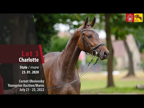 Cornet Obolensky Youngster Auction Lot 3 Charlotte Stute v. Cornet Obolensky - Captain Fire