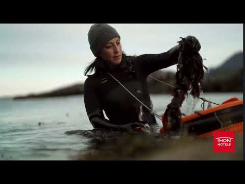 The Chef's Secret Ingredient