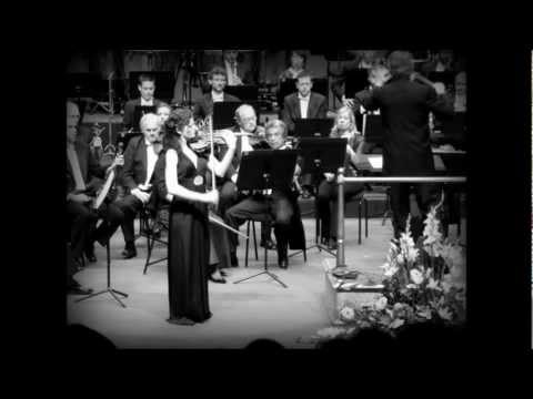 (Live recording) Ludwig van Beethoven Violin concerto Op. 61