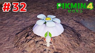 そんなとこにあったんですね【ピクミン４#３２】