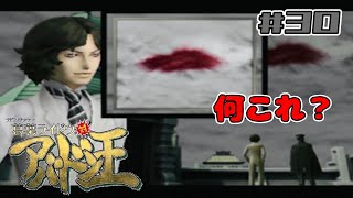 いずれ来たる絶望【葛葉ライドウ対アバドン王】#30