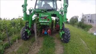CHARRUTAGE#ENHERBEMENT 2016 / PLOWING#GRASS COVER 2016