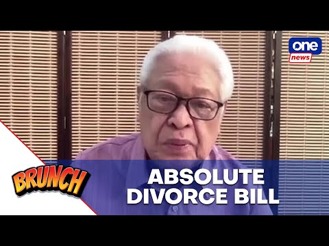Brunch | Divorce will be affordable, expeditious compared to annulment - Lagman