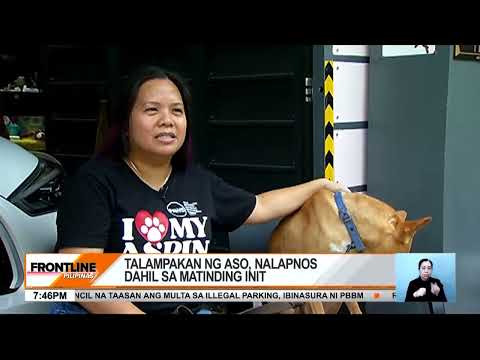 Talampakan ng aso, nalapnos dahil sa matinding init Frontline Pilipinas