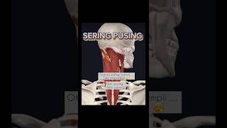 Download lagu 27 Juli 2023 mp3 Download lagu 27 Juli 2023 mp3